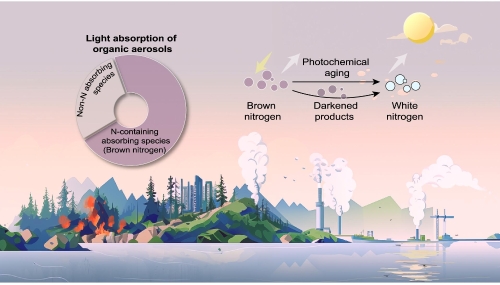 Science│南科大环境学院傅宗玫团队携手港科大提出棕色氮框架 明晰有机气溶胶化学组分与其气候效应关系