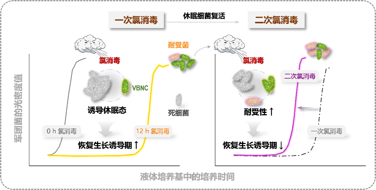 图片 1.png