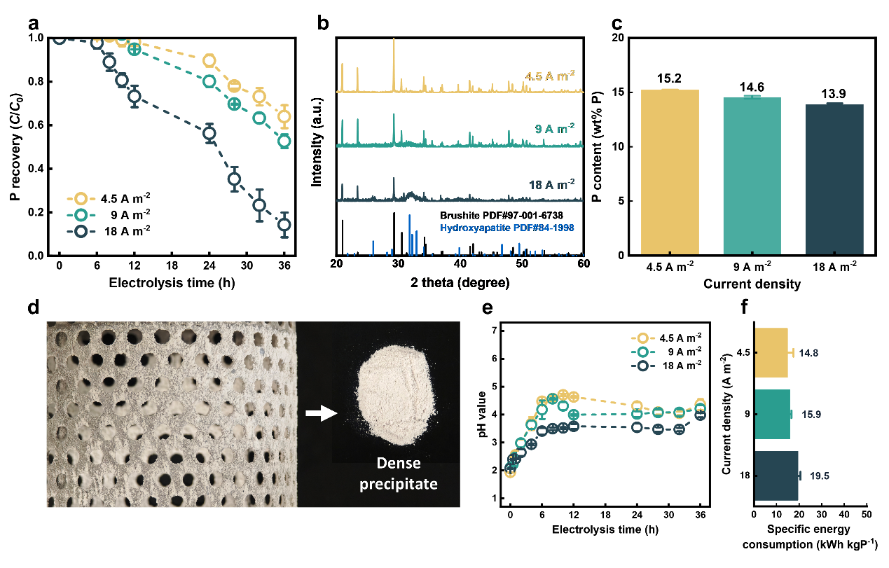 图3 阴极碱性实现高效磷酸盐沉淀与回收.png